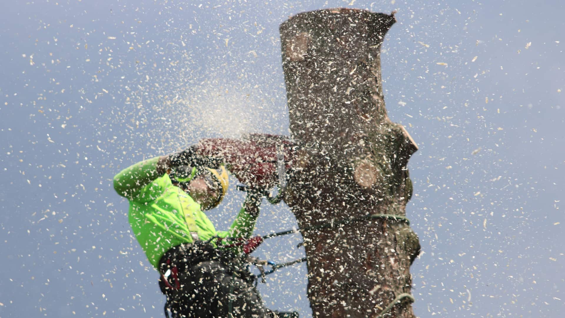 Gil Tree Service Banner Background
